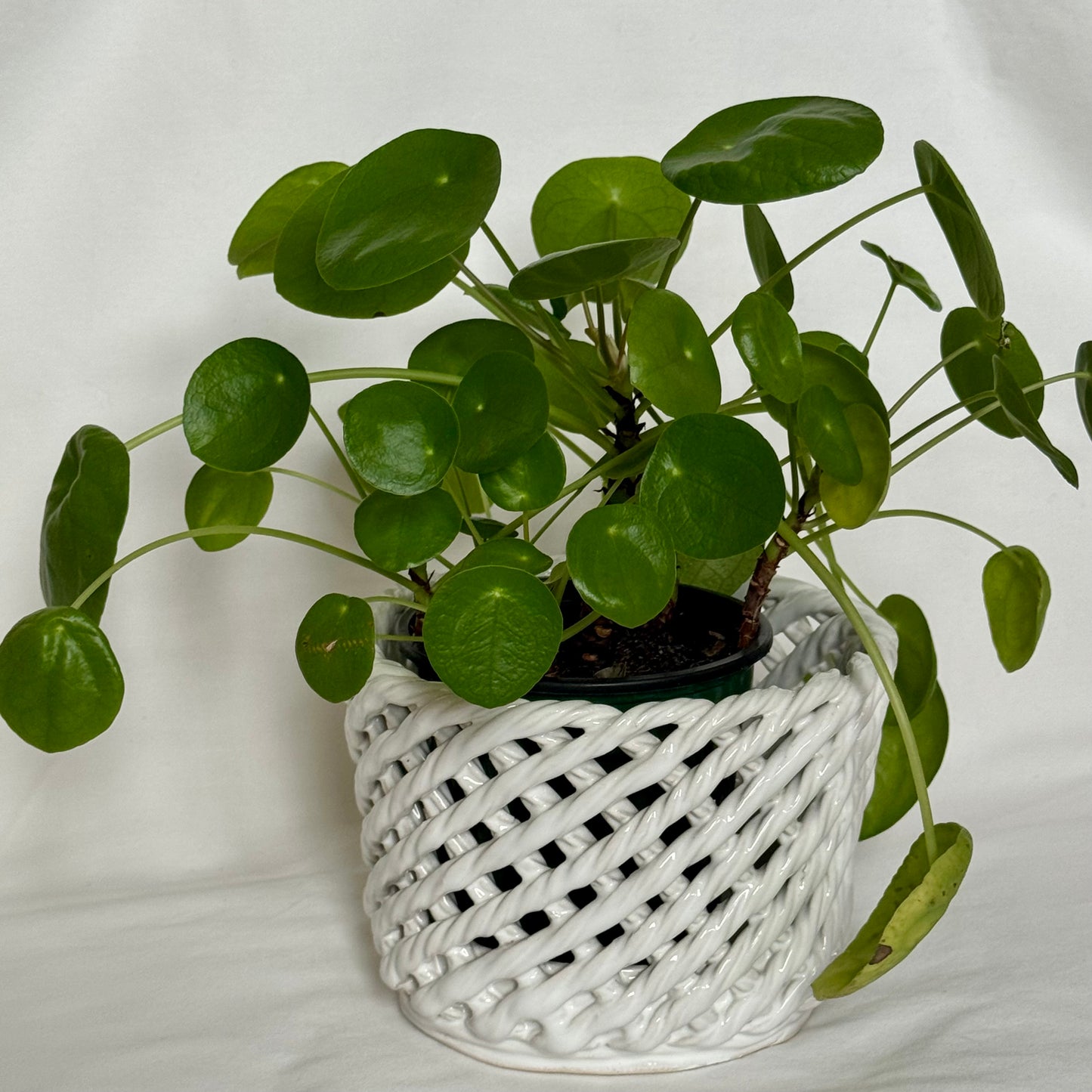 Portuguese Majolica Planters