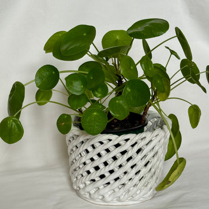 Portuguese Majolica Planters